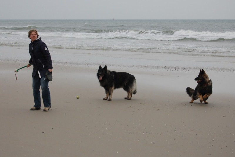 Xerus en Zaza op Vlieland (13).jpg